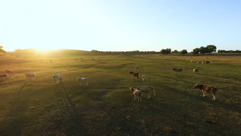 AdobeStock 144401597 1001