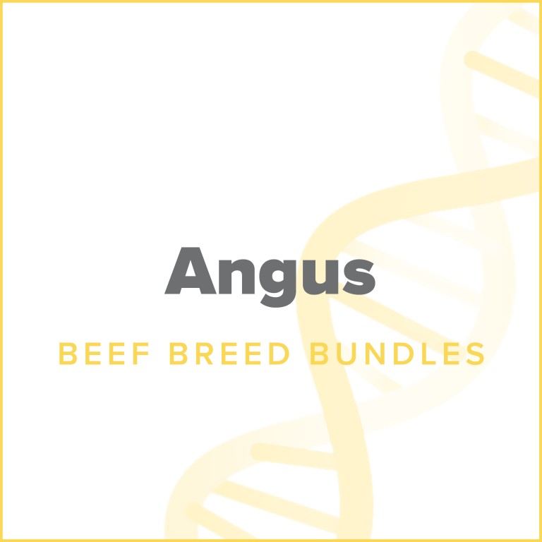 dna angus