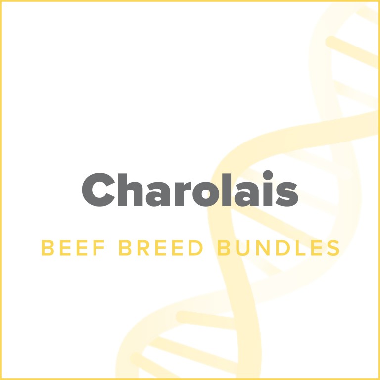 dna charolais