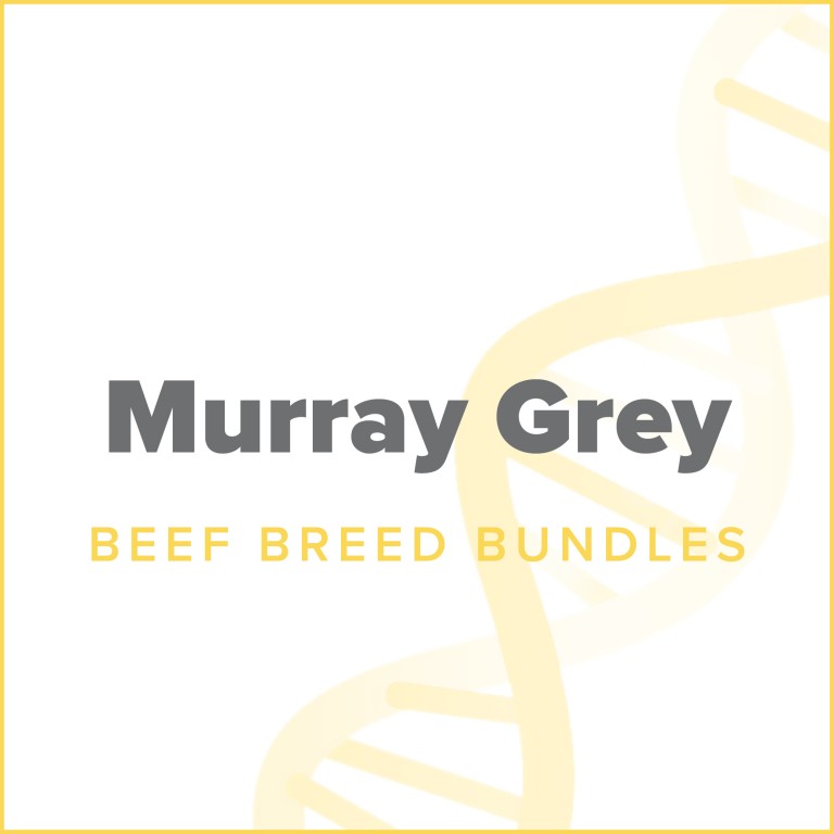 dna murraygrey