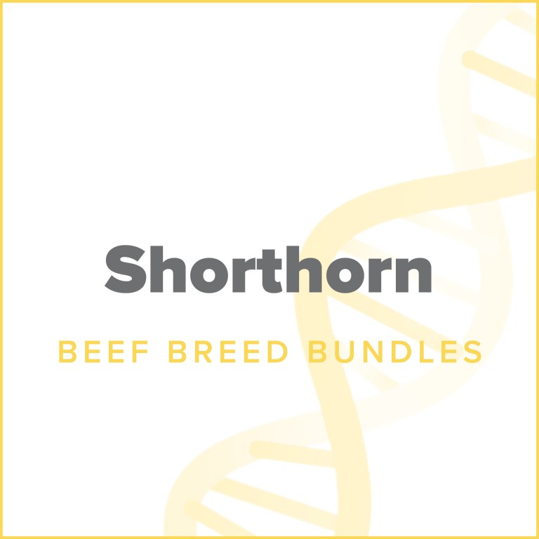 dna shorthorn