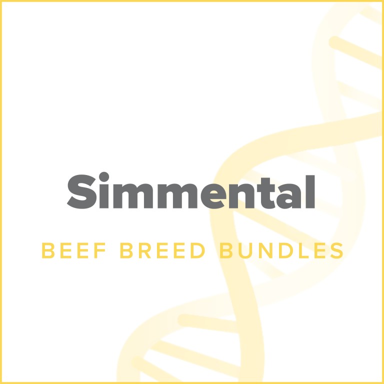 dna simmental