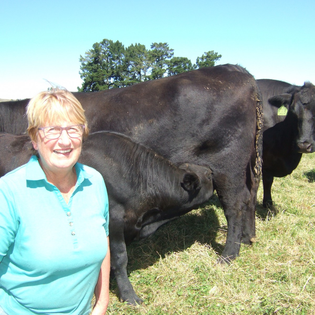 Helen and Bulls