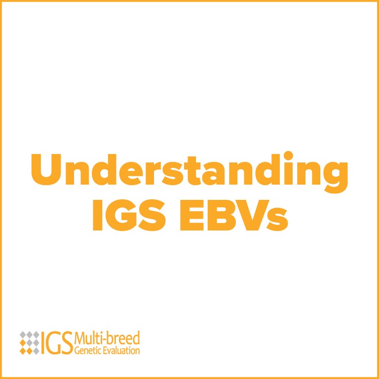 igs ebvs