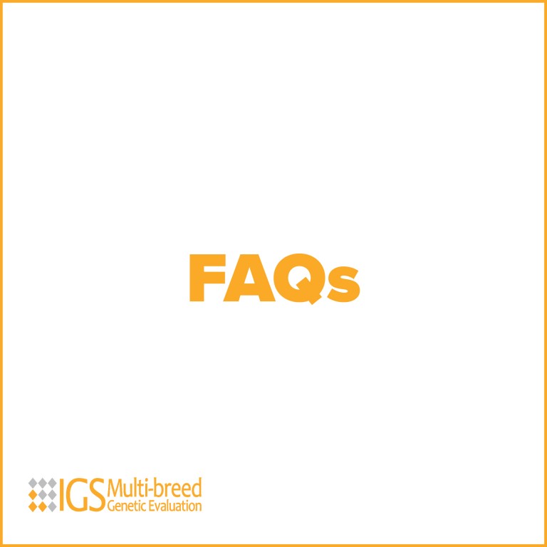 igs faqs