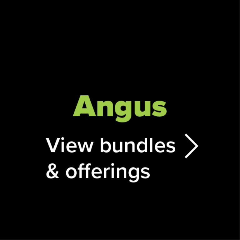 AngusNZ