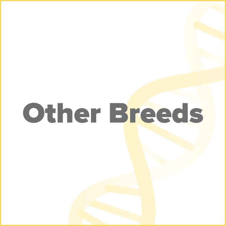 Breed Bundles Other Breeds v2