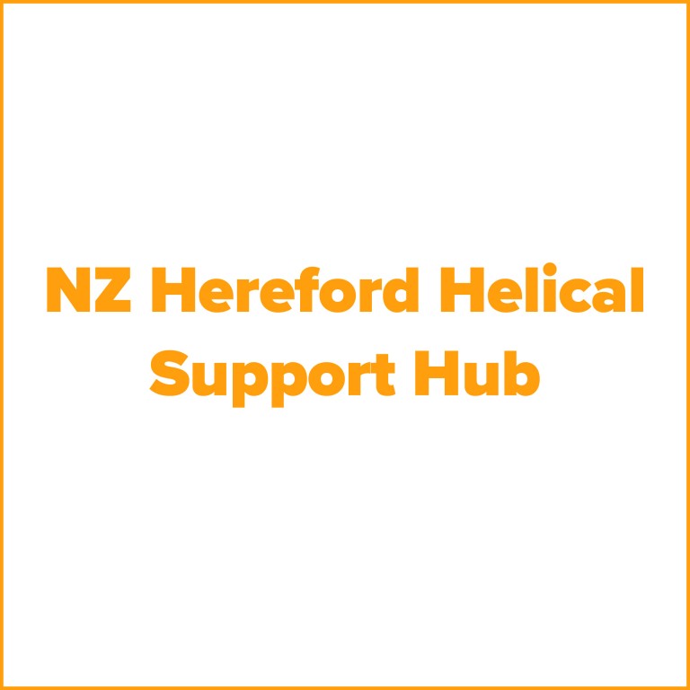 Helical nz hereford support hub