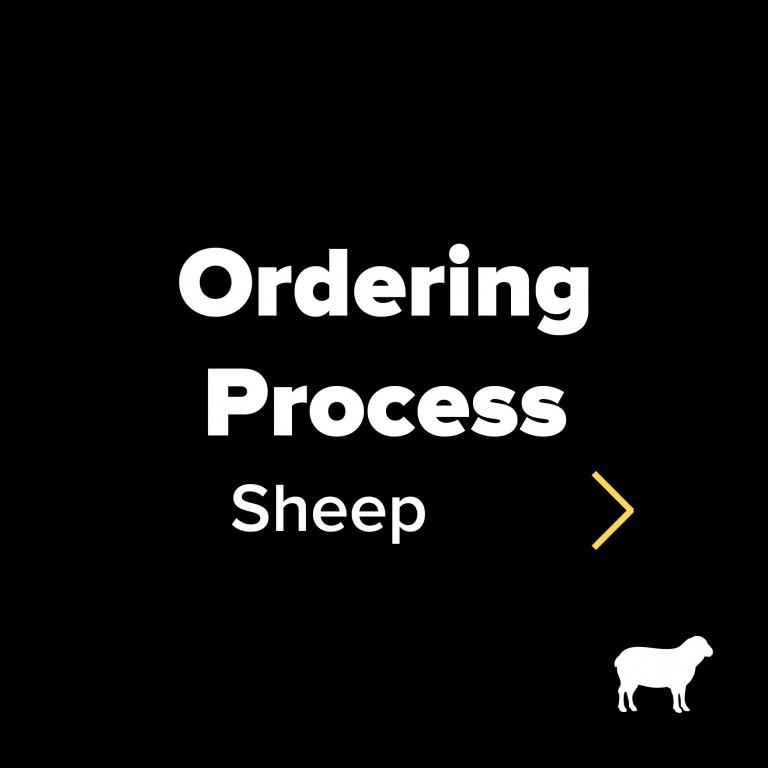 Ordering process sheep