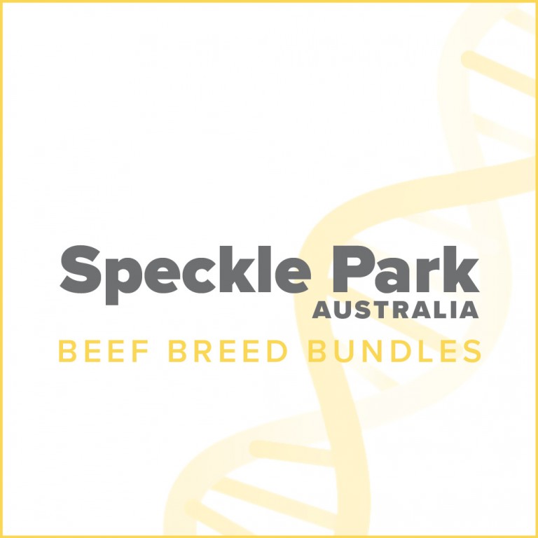 Speckle Park Australia