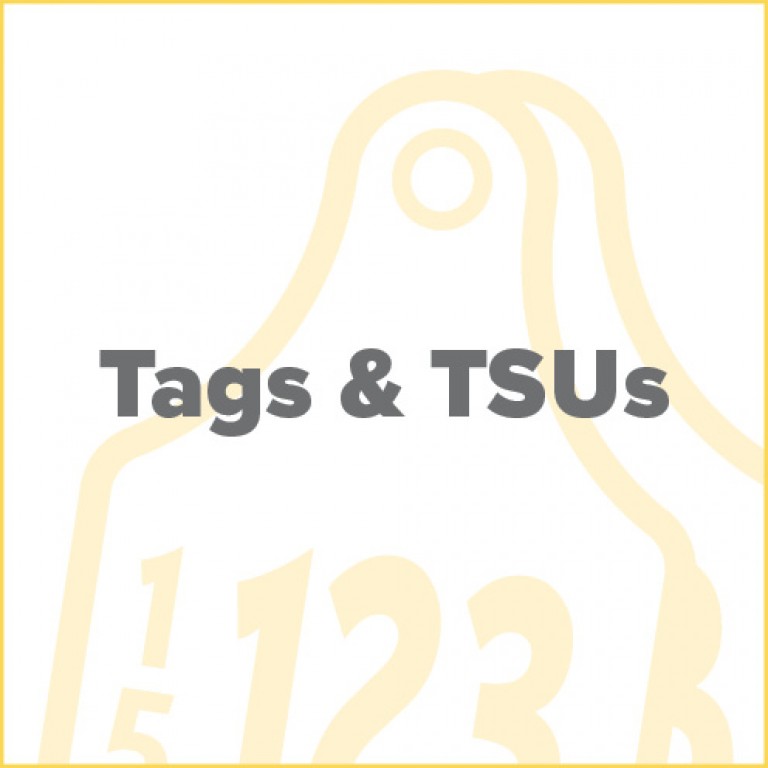 Tile updated TagsTSUs v2