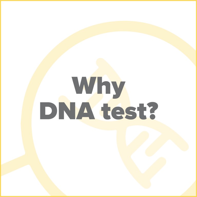 Why DNA test tiles GREY