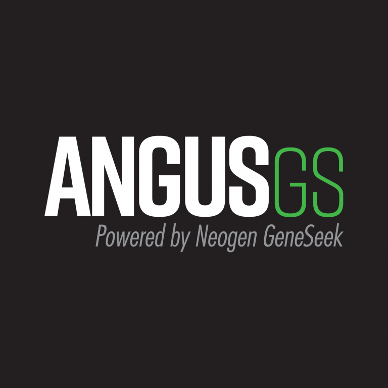 angus gs 72k