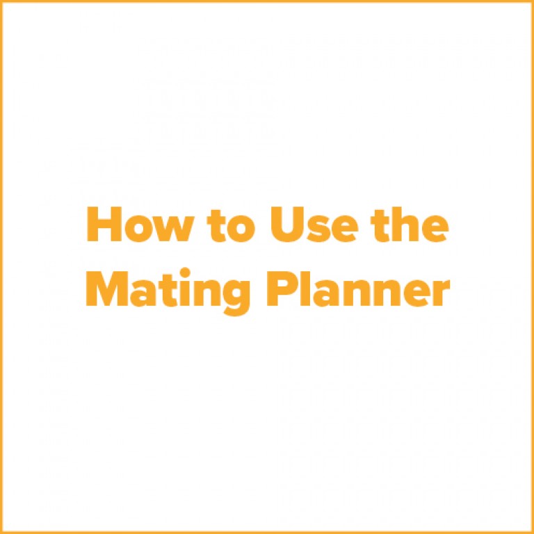 tile Helical mating planner