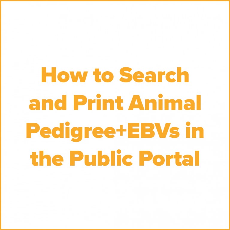 tile Helical printing portal