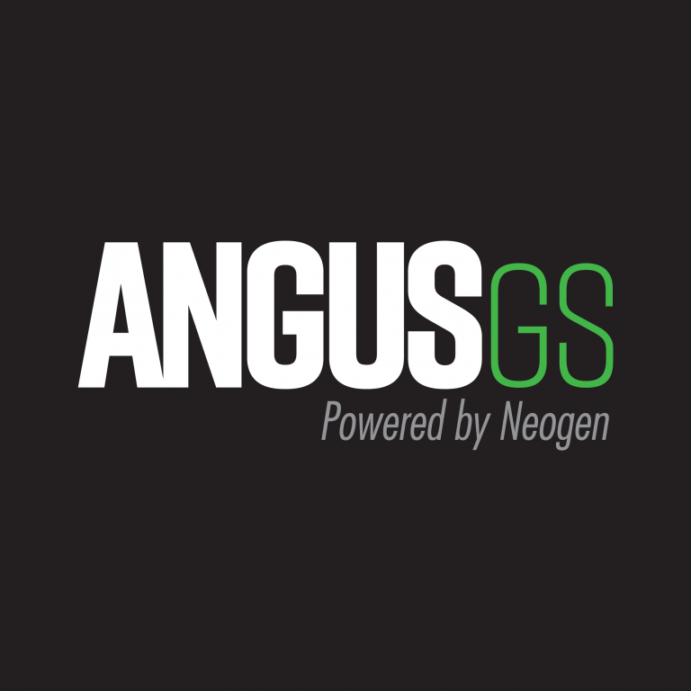 updated angusGS logo tile